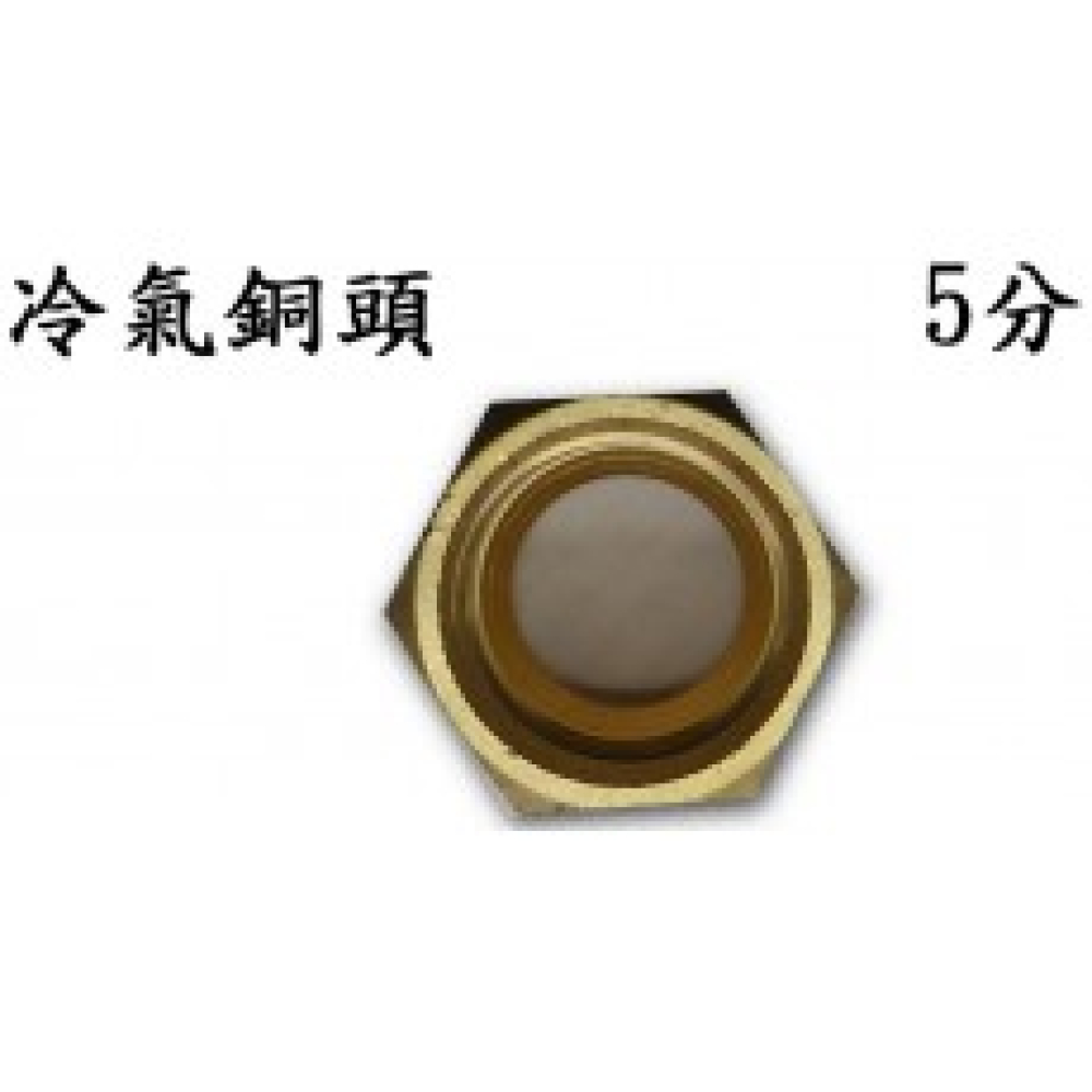 SN2-10 5分銅頭