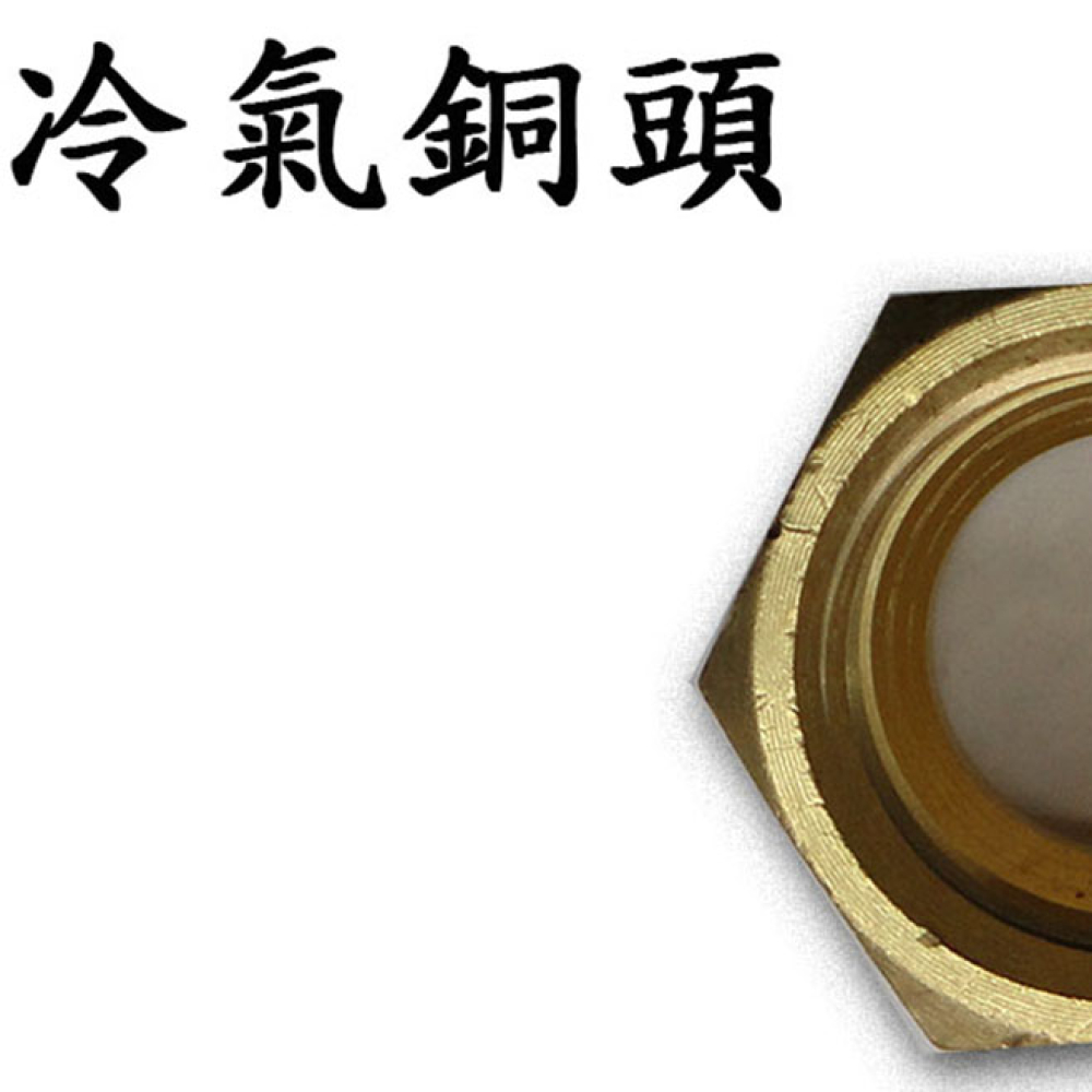 SN2-12 6分銅頭